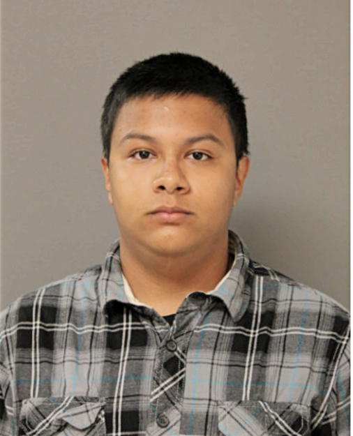 CHRISTIAN S TORRES, Cook County, Illinois