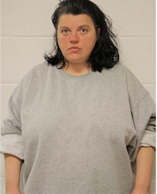 VICA VATAMANIUC, Cook County, Illinois