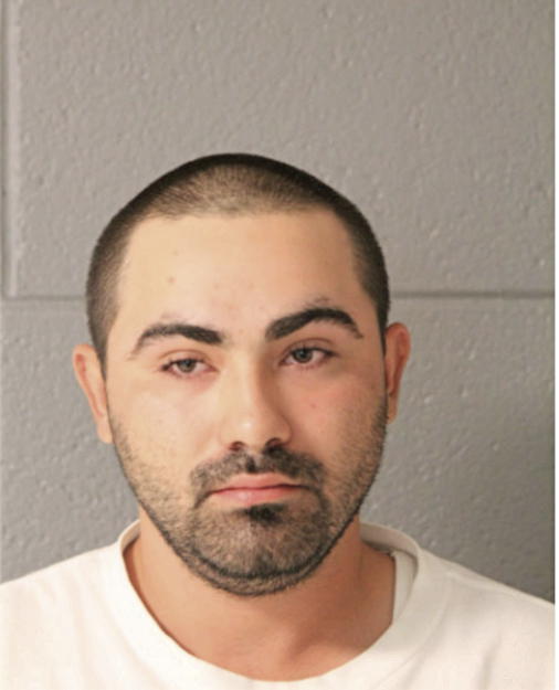 PETER J WASSO, Cook County, Illinois