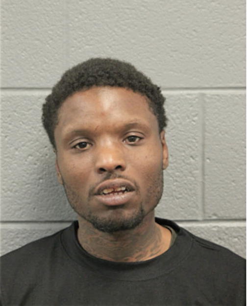STEVEN L ALSTON, Cook County, Illinois