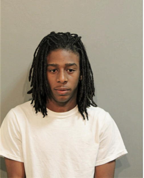 ANTHONY D ANDERSON, Cook County, Illinois