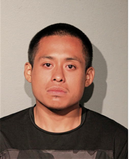 MAURICO M BASURTO, Cook County, Illinois
