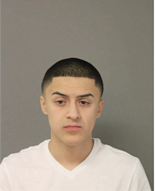 ERNESTO A CARRENO, Cook County, Illinois
