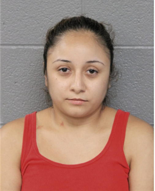 JESSICA INES DIAZ, Cook County, Illinois