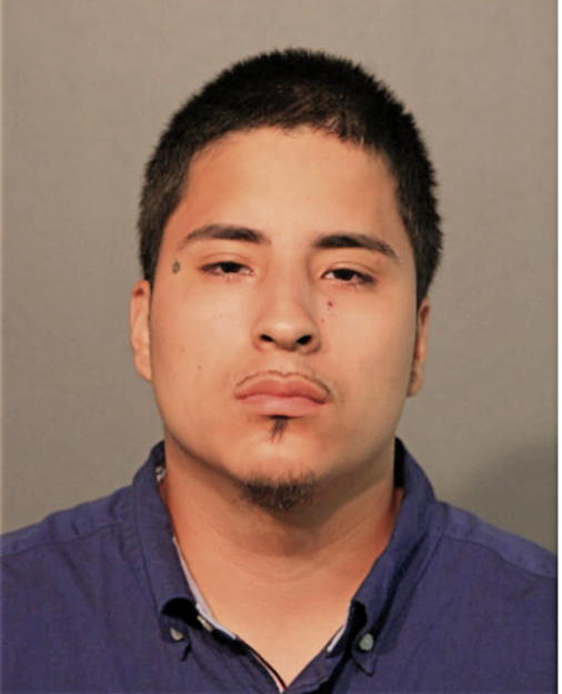ALEJANDRO J ELVIRA, Cook County, Illinois