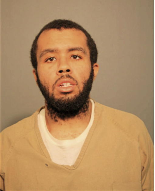 HASAN FLOWERS, Cook County, Illinois