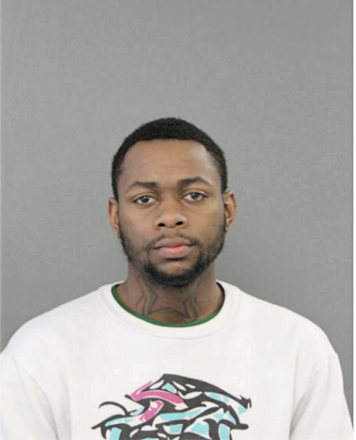 ANDRE J FULTON, Cook County, Illinois