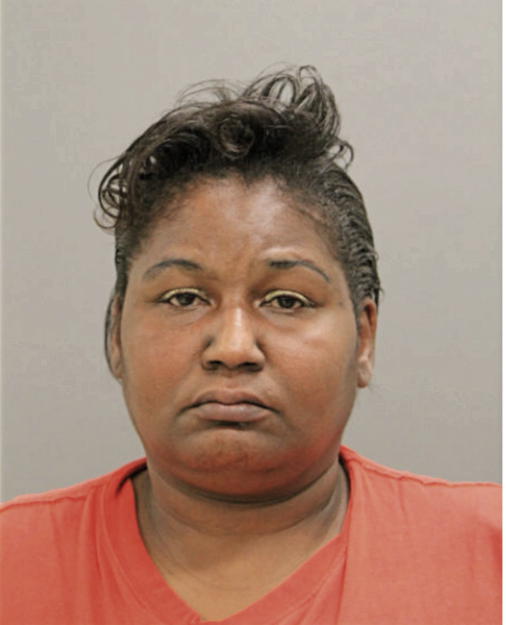 LINDA A JOHNSON, Cook County, Illinois