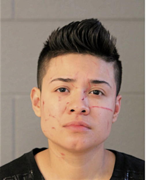 NOEMI LOPEZ, Cook County, Illinois