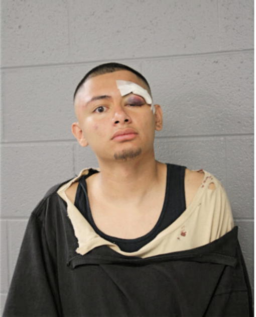 ROBERTO MARTINEZ, Cook County, Illinois