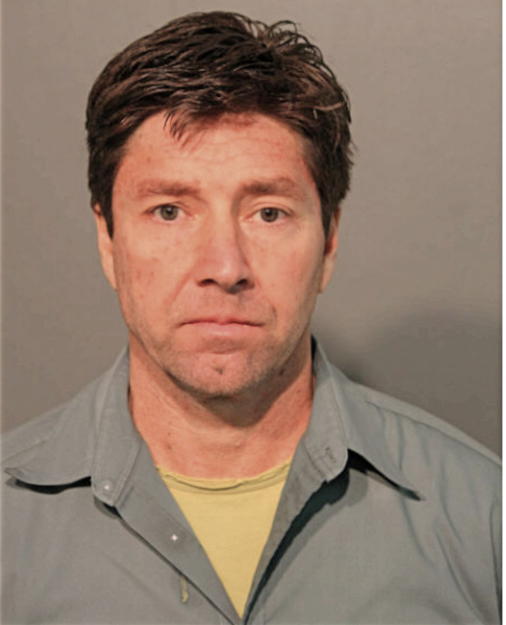 FABIO TEIXEIRA MENDES, Cook County, Illinois