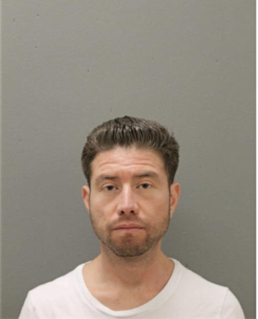 ERNESTO OCHOA, Cook County, Illinois