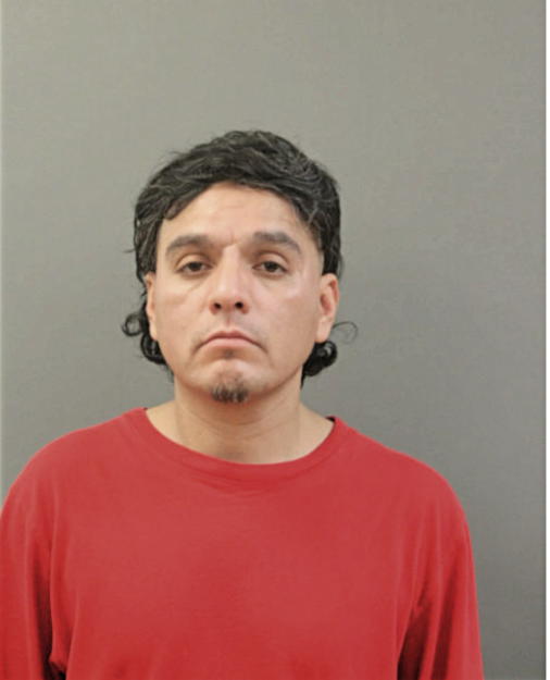 ADAM ORTEGA, Cook County, Illinois
