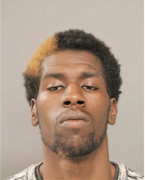 TERRELL L PITTMAN, Cook County, Illinois