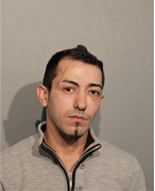 ALI SABBAR THAJEEL SALAIT, Cook County, Illinois