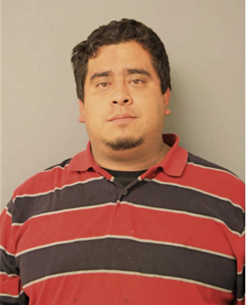 LUIS A SANCHEZ, Cook County, Illinois