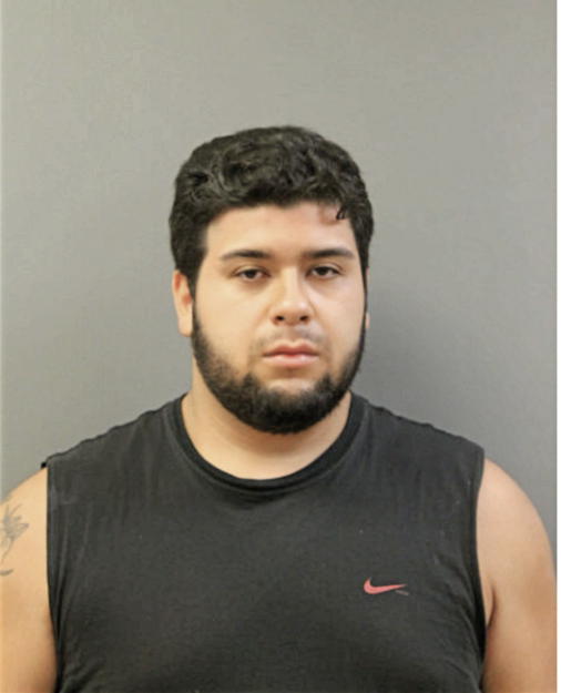 MARC A SANCHEZ, Cook County, Illinois