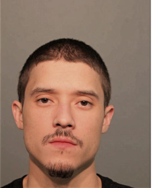 ANDY J SANTANA, Cook County, Illinois