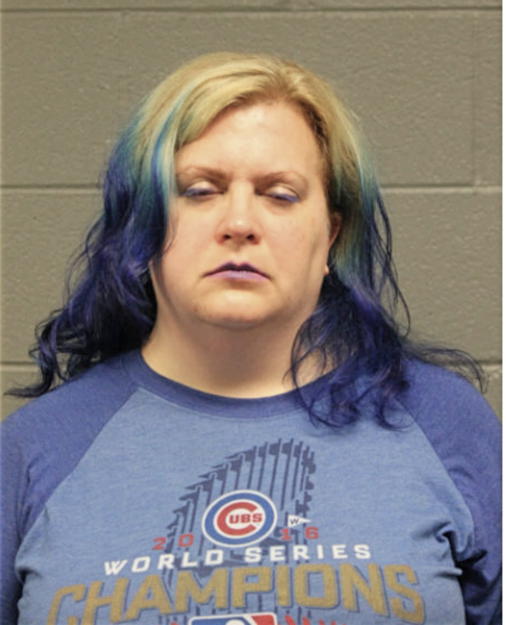 BETH L SCHWARZ, Cook County, Illinois