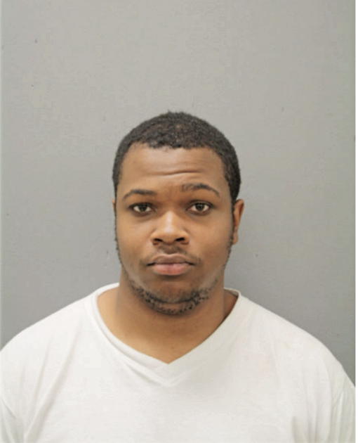 SEAN P SHELTON, Cook County, Illinois