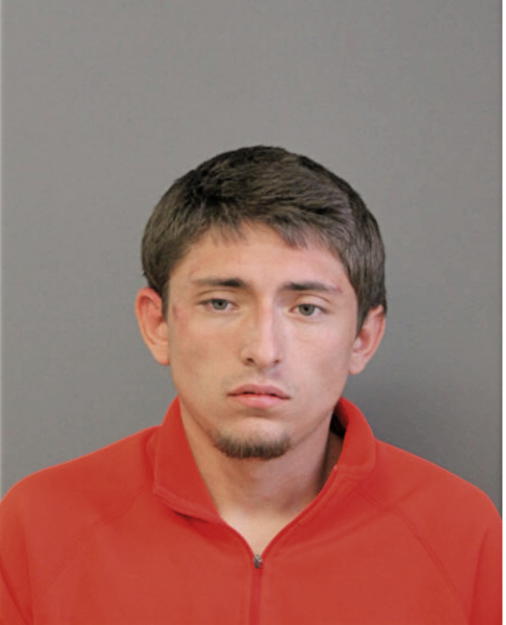 ANTHONY MJ STEPINA, Cook County, Illinois