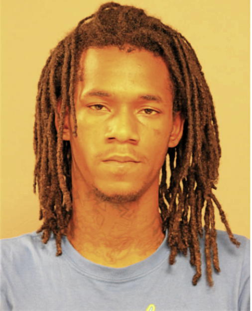 TERRELL T TIMBERLAKE, Cook County, Illinois