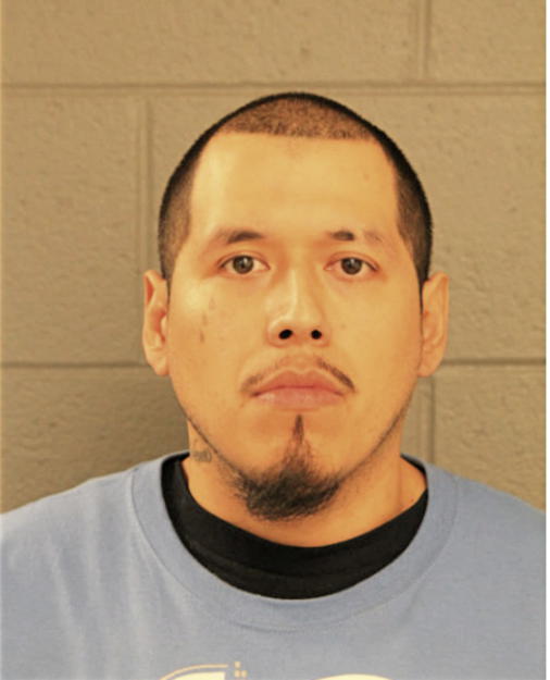 CARLOS E VILLAGOMEZ, Cook County, Illinois