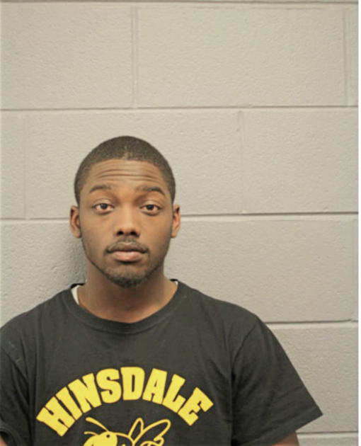 ROMEL S YOUNG, Cook County, Illinois
