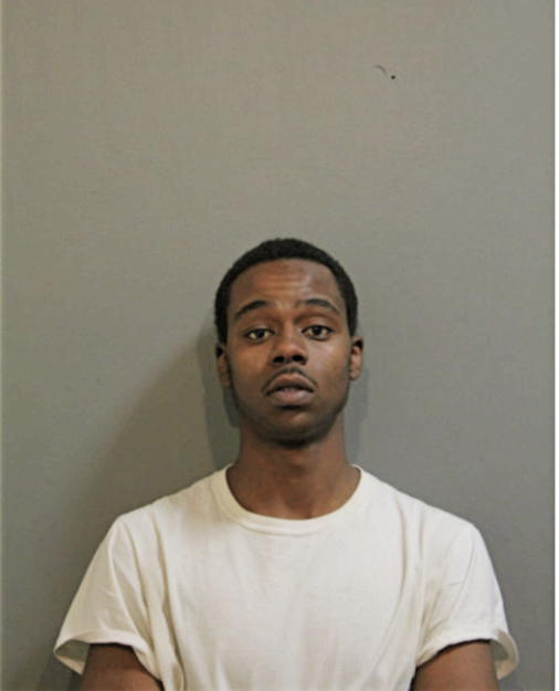 DAVID D BROWN, Cook County, Illinois