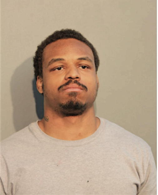 ERIK L GALLOWAY, Cook County, Illinois