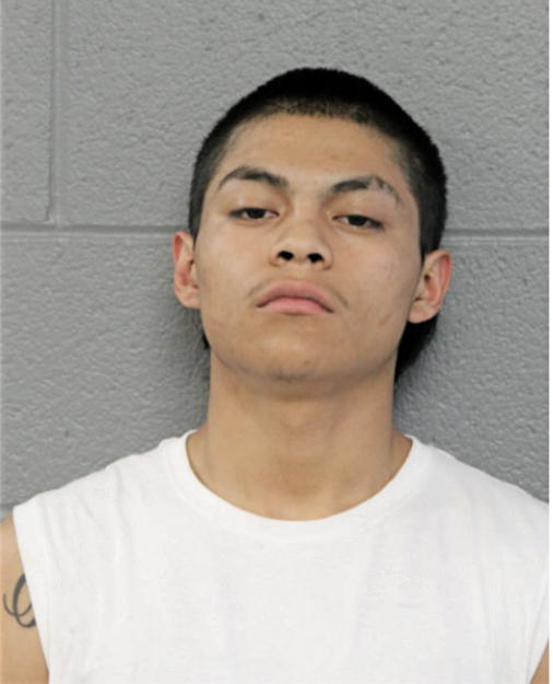 JULIO HERNANDEZ, Cook County, Illinois