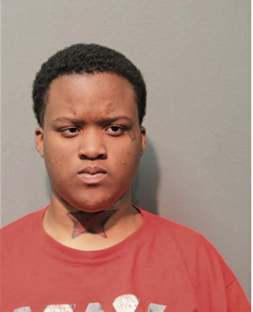 ANAYA M JACKSON, Cook County, Illinois