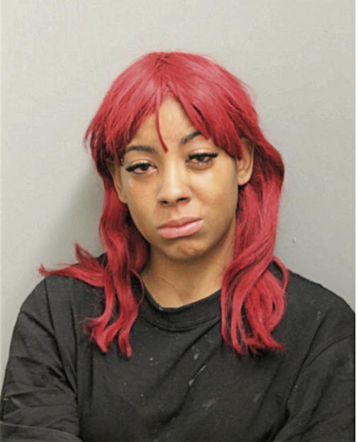 TIARA S JOHNSON, Cook County, Illinois