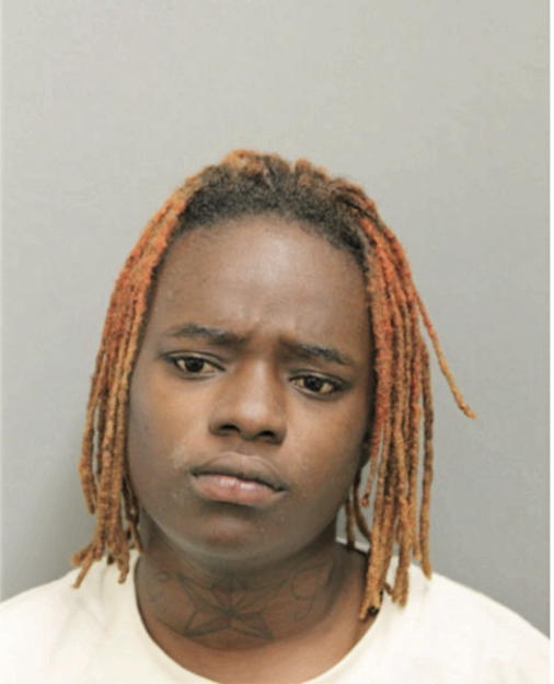 TAMARA Q LEASON, Cook County, Illinois