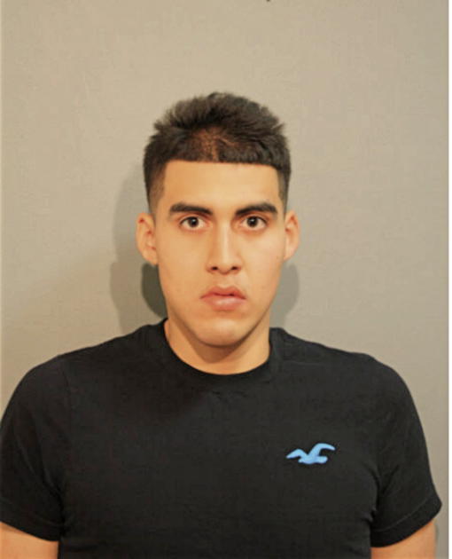 HECTOR LEDEZMA, Cook County, Illinois