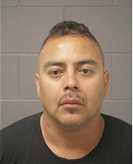 HUGO G MIRANDA, Cook County, Illinois