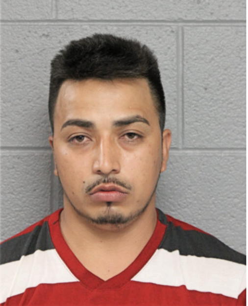 JUAN J MOLINA-CUEVAS, Cook County, Illinois