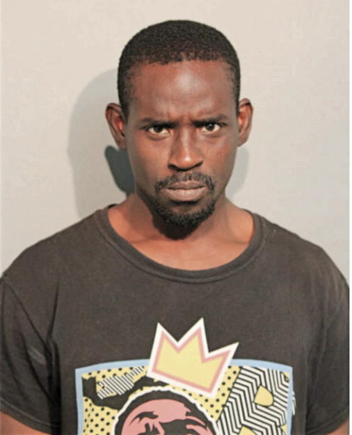 CHRISTOPHER C NELSON, Cook County, Illinois