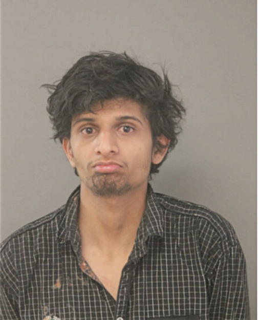 RONAK M PATEL, Cook County, Illinois