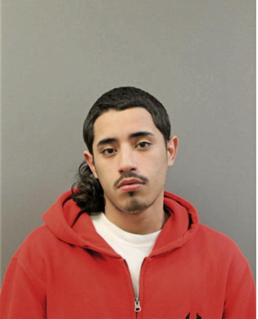 ANGEL L RAMOS, Cook County, Illinois