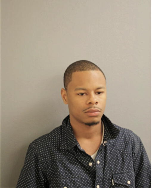 MICHAEL D RANDLE, Cook County, Illinois