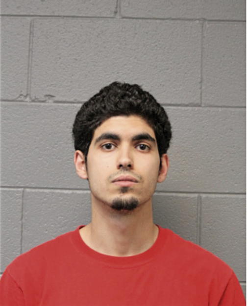 MOSA SHIHADEH, Cook County, Illinois