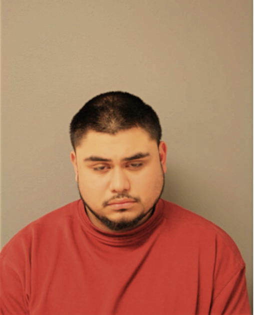 JULIEN JASON SILVA, Cook County, Illinois