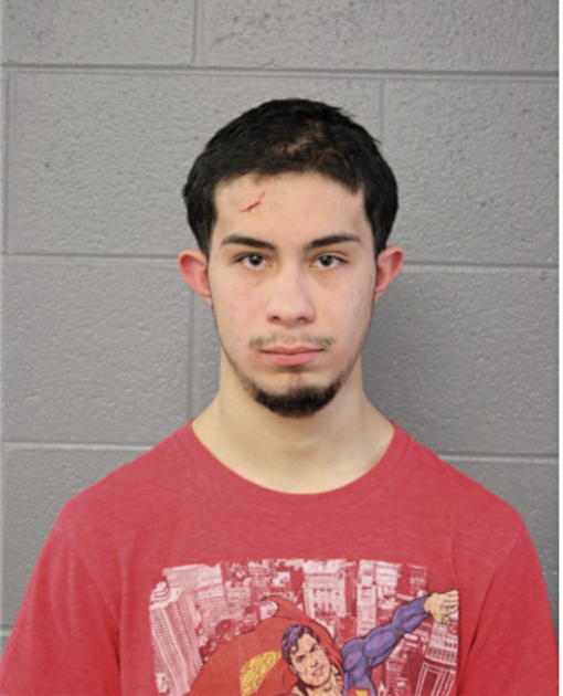 NIKOS G TSOBOS, Cook County, Illinois
