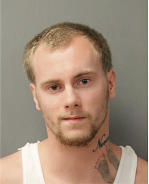 ANDREW J VLK, Cook County, Illinois