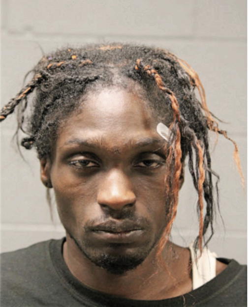 DOMINCK D WELLINGTON, Cook County, Illinois