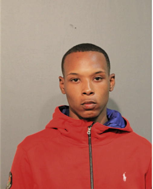 THEOPHILUS D WRIGHT, Cook County, Illinois