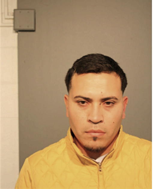 JOSE R ALANIS-MORENO, Cook County, Illinois