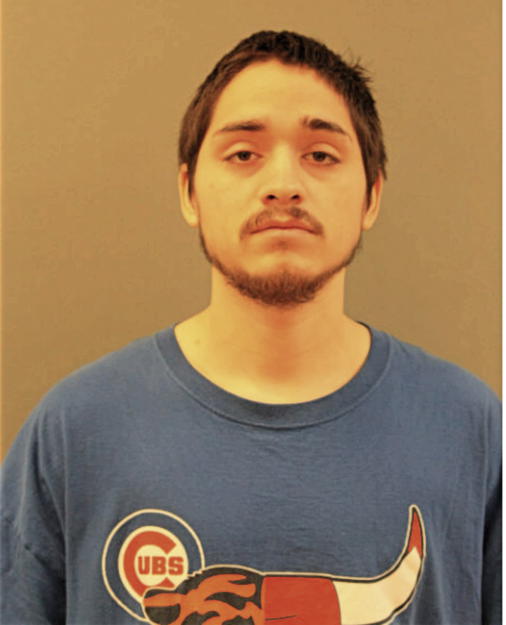 MICHAEL E ALVAREZ, Cook County, Illinois
