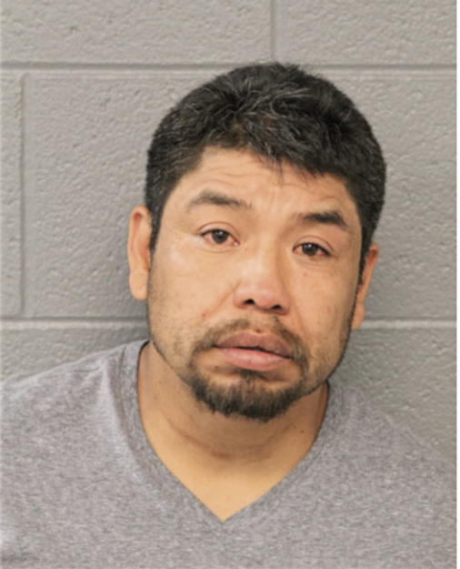 FELIX ARENAS, Cook County, Illinois